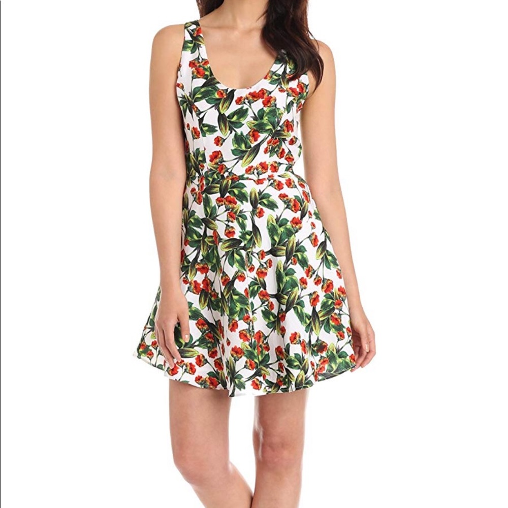 Joie mare floral print dress